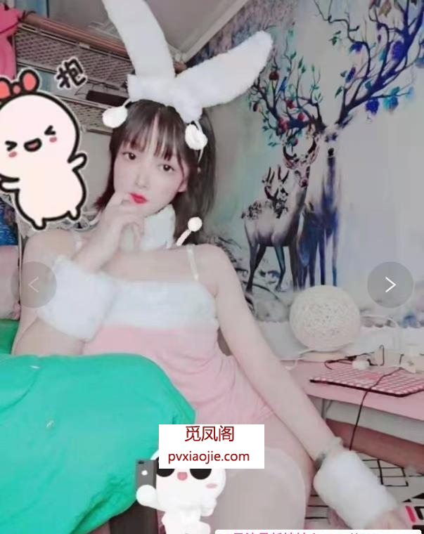 邻家小爱