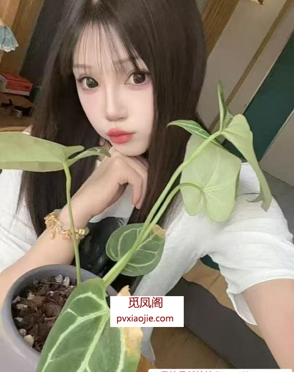 又萝又御的汉口小妹